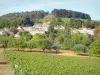 コート-ド-ボーヌのブドウ畑 - その教会の鐘楼、その家、そのブドウ畑とその木とペルナンVergelessesのワイン栽培の村のビュー