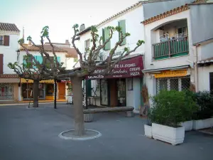 サントマリードラメール - 木々と白い家の広場