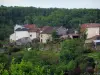 シャトーポサック - Basse-Marche（Gartempe valley）の住宅、庭園、木々