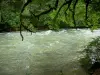 ジュラの風景 - 前景、川、木の枝