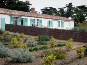 ジョルジュ・クレメソーの家 - 家と庭