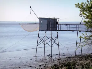 ジロンドの河口 - 河口の端にあるカレイと釣り小屋