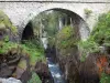 スペインの橋 - ポンデスパーヌの自然遺産：川にまたがる石の橋、岩に囲まれた川。ピレネー国立公園、コートレの自治体
