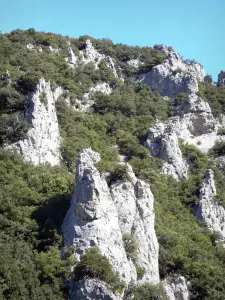 セントジョージの峡谷 - 緑に囲まれた岩壁