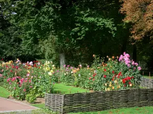 ソースの花の公園 - ダリアの園（ダリアの花）