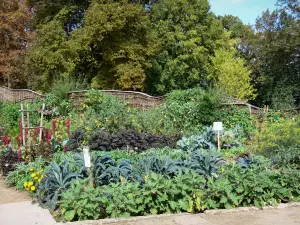 ソースの花の公園 - 菜園と木々