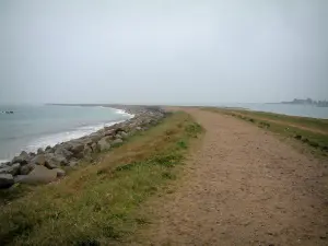 タルバートの溝 - 海に突き出た海草と草で部分的に覆われた砂と小石の細いストリップ（Channel）