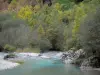 ドフィネの風景 - ヴェネオン渓谷（エクリプス - オイサン大塊）：ヴェネオン川の流れ