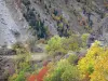 ドフィネの風景 - Massif des Ecrins  -  Oisans：山の斜面と秋の色の木
