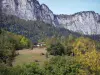 ドフィネの風景 - シャルトルーズ山地の崖（岩石面）が主体の森林
