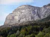 ドフィネの風景 - シャルトルーズ自然公園（シャルトルーズ山地）：Dent de Crolles（山）と森林