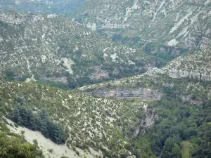 ナヴァセルのサーカス - 自然のサーカスの浮き彫りと石灰岩の断崖の眺め（Visの峡谷、Gorges de la Vis）