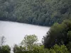 ナーレイ湖 - 水と木の体