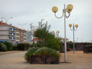 ノートルダム・ド・モン - 海辺のリゾート地：街灯、低木、建物