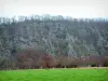 ノーマンスイス - Orne Valley：緑の牧草地（緑）、木々や崖（岩壁）