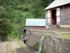 ハウスラグリベリエール