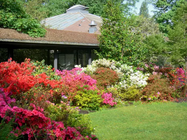 写真 パリの花の公園 高解像度 高画質画像