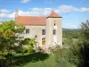 ピエール＝ペルトゥイ - 周囲の緑の風景の景色を望む村の家