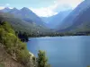 ピレネー山脈の風景 - Lac deGénos-Loudenvielle、Louron渓谷に接する樹木と山々