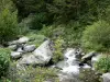 ピレネー山脈の風景 - Neouvielle Massif（ネウビエル自然保護区）：岩や植物に囲まれたストリーム
