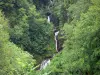フラメン峡谷 - 滝と木々。オー・ジュラの地域自然公園内