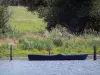 ブレンヌ地方自然公園 - 池、葦（葦）、木の上をボートします。