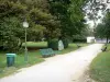 ポー - ベンチと木が並ぶボーモント公園の路地