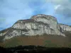マッシフデザボグス - マッシフデボージュの地域自然公園：森林を見下ろす石灰岩の崖