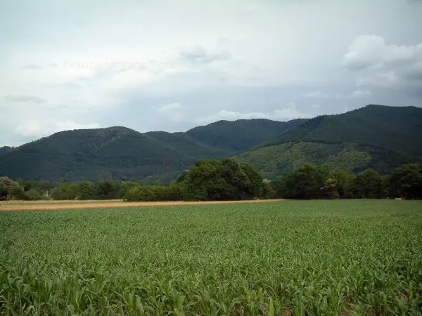 ミュンスターの谷 - 観光、ヴァカンス、週末のガイドのオー・ラン県