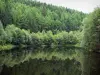 モルヴァン - モルバン地域自然公園：木々に囲まれた湖（森）