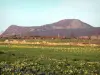 モンダルデシュ地域自然公園 - メゼンク山地：メゼンク山の2つの峰を見下ろす水仙が点在する草原