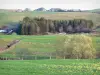 モンダルデシュ地域自然公園 - MézencMassif：水仙が点在する牧草地
