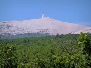 モンヴァントゥー - 白い石で覆われた山頂の森とモンヴァントゥー（石灰岩の山）
