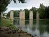リュサックレシャトー - 池、古いお城の跳ね橋（遺跡）、海岸にあるマガモ