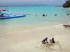 ルゴジエ - タバリンコーブのビーチ、海水のプール、大西洋。グランテール島に