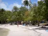ルゴジエ - ココナッツの木々や木々とプチ・アーヴルの砂浜