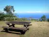 レユニオンの風景 - インド洋を見渡すピクニック用のテーブル