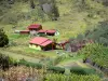 レユニオン国立公園 - マファテサーカス：マーラ島とその家