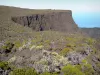 レユニオン国立公園 - 火山林道からのパノラマ
