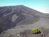 レユニオン国立公園 - ピトンデラフルネーズ火山