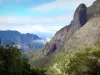 レユニオン国立公園 - タイビット峠への登山中のCilaos自然サーカスの城壁の眺め