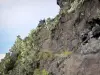 レユニオン国立公園 - 岩壁とCilaosのサーカスの植生