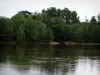 ロワール渓谷 - 川（ロワール）と水辺の木