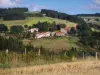 のロワール県ガイド - ロワールの風景 - ピラト山塊（ピラト地域自然公園）：牧草地、家および木