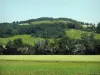 上加龙省的风景 - 田野和树木，在Lauragais