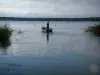 东方森林的湖泊 - 湖与芦苇（水生植物）和一个渔夫在船上，森林在背景中（东方森林地区自然公园）