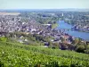 乔伊尼 - 从Côte Saint-Jacques的角度看Joigny市和Yonne山谷的屋顶，前景中的葡萄园
