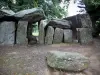 仙石 - 在Essé的Dolmen（巨石纪念碑：有盖走道）