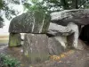 仙石 - 在Essé的Dolmen（巨石纪念碑：有盖走道）