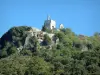 克朗赛埃 - 在DrômeProvençale观看树木，顶部是圣母雕像，圣米歇尔教堂和栖息村庄的房屋